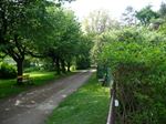 P1000241.jpg