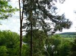 P1000291.jpg